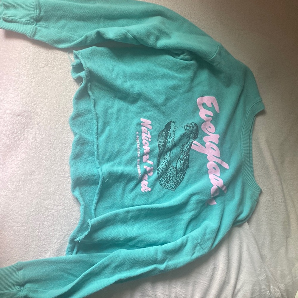 Pac sun cropped graphic teal & pink crewneck